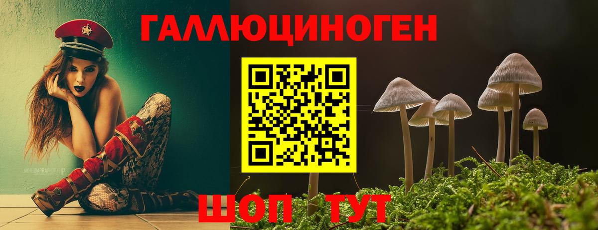 Псилоцибиновые грибы Cubensis  Псилоцибиновые грибы Cubensis  Вход с VPN  Мурино 