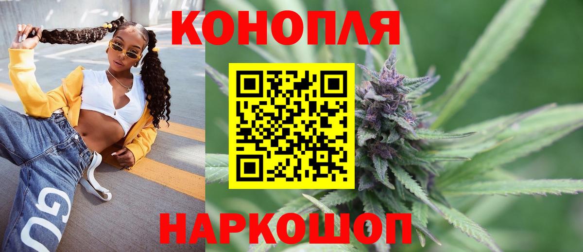 Мурино  Бошки Шишки конопля  Бошки Шишки индика  Вход с VPN 